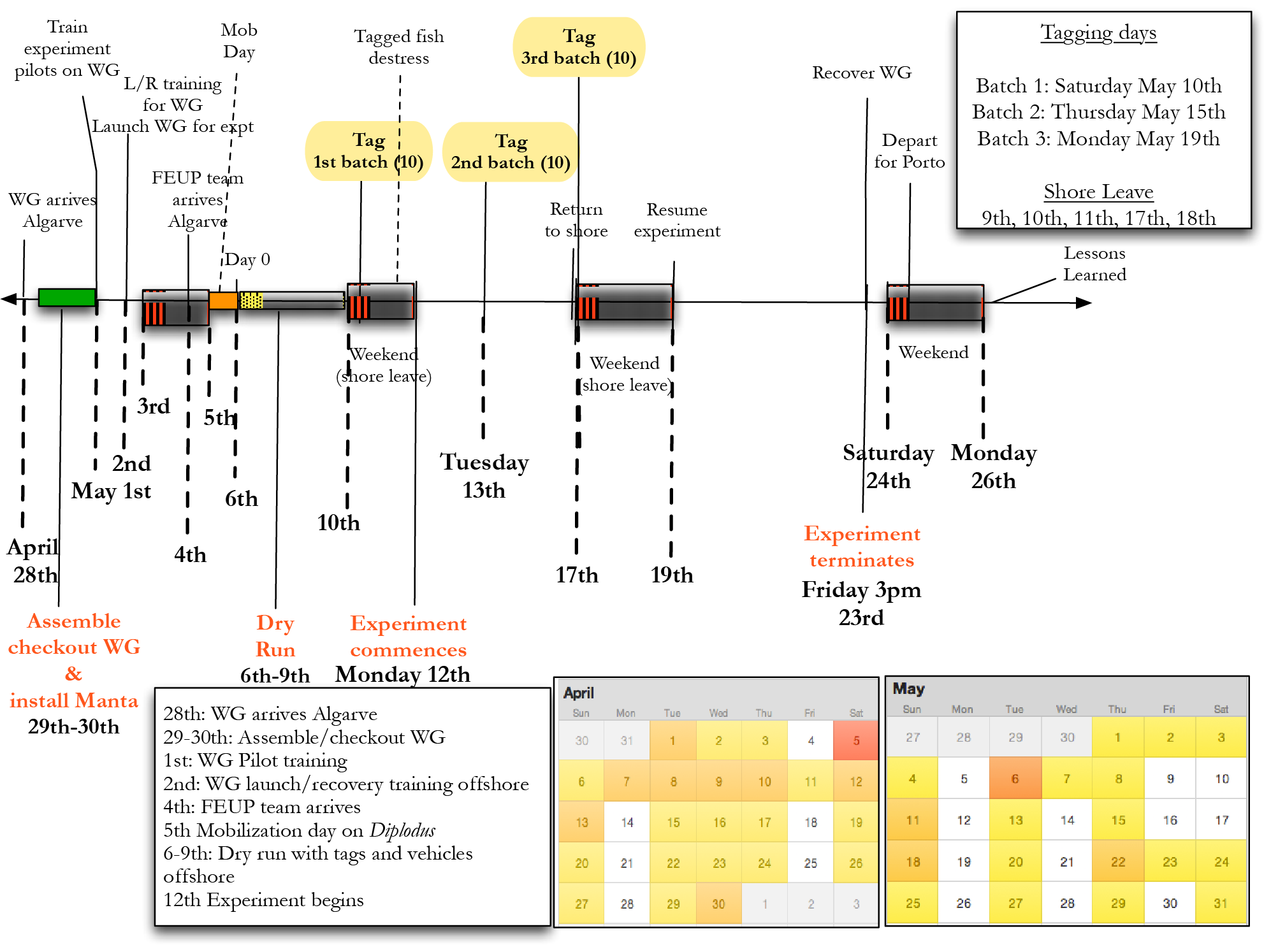 Experiment Timeline