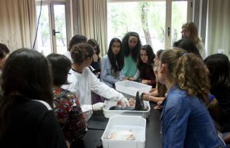 Learning more about the fish at the science class, Vila do Conde