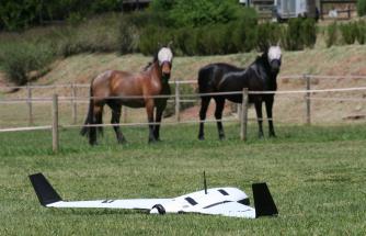 Teste com UAV no campo perto ca casa onde ficamos. No entanto, existe competição substancial para recuperar o veículo. Em particupal os animais que se encontram a pastar,mostram muito interessa nas nossa experiências.
