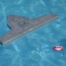 The simulated Mola with tag being tested in the pool.