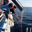 Crew from Diplodus and João Fortuna recovering the Wave Glider