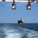 A big cargo vessel chasing  Diplodus.